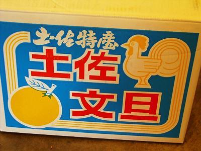 土佐文旦～高知名物: (*^_^) 愛媛県松山市・三津のイヤリングとピアス