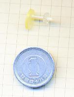 cera-gem-wshellegg-scale3(sum).jpg