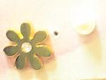 st-daisy-2(sum).jpg